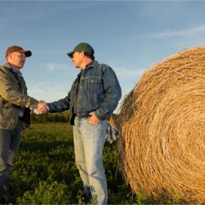 Meeting The Producer