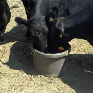 Cow Tubs